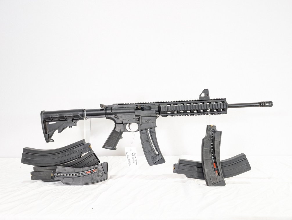 Smith & Wesson MP 15-22 Semi Auto Rifle