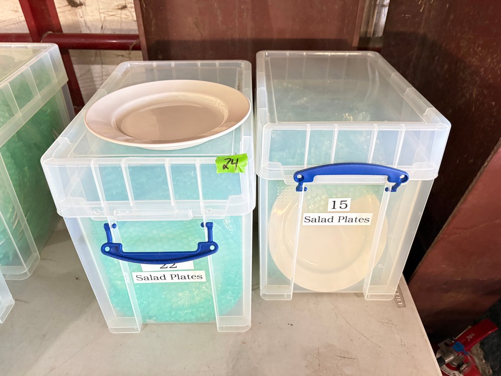 (15) Core Salad Plates & (22) Salad Plates