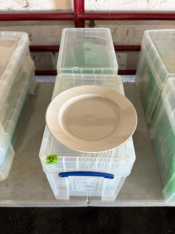 (2) Containers Core Salad Plates