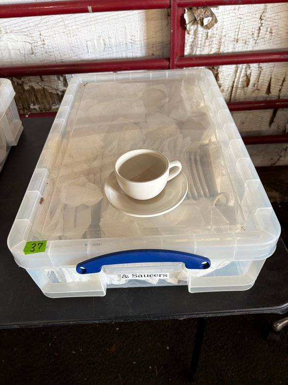(42) Core Coffee Cups & Saucers