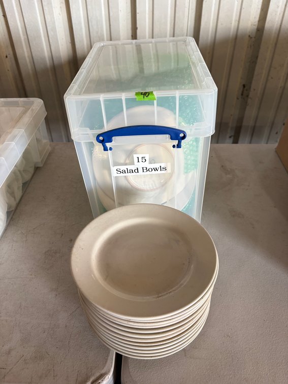 (15) Core Salad Bowls & 12 Adams Burch Salad Plates