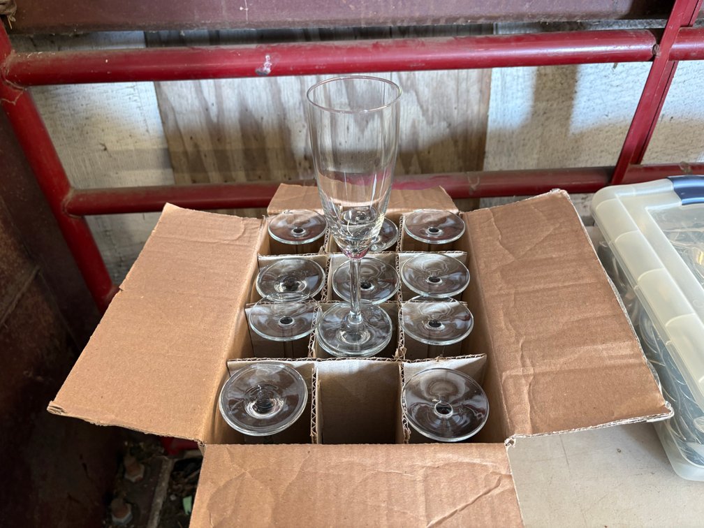 (12) Libbey Flute Glasses