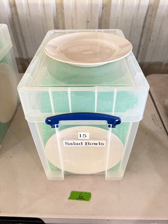 Container of (15) Core Salad Bowls