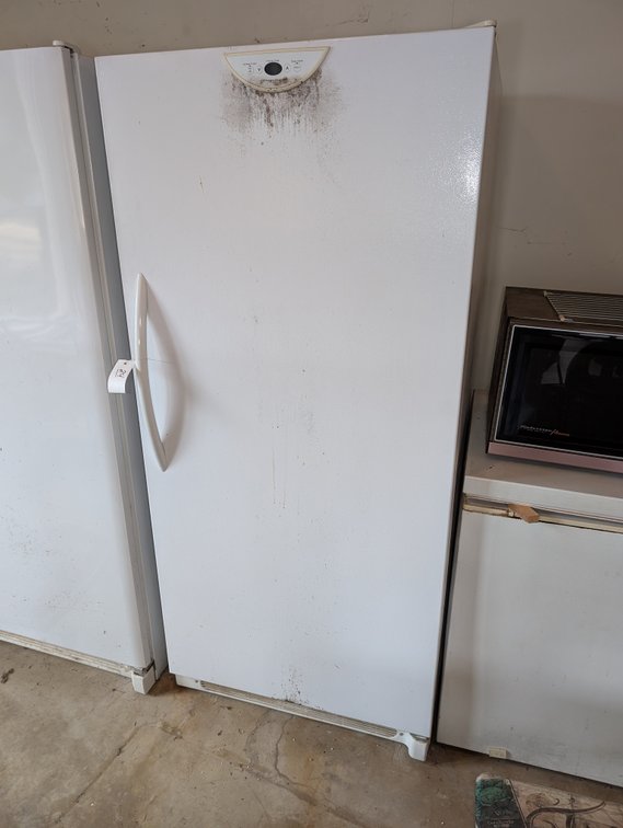 Frigidaire Standing Freezer