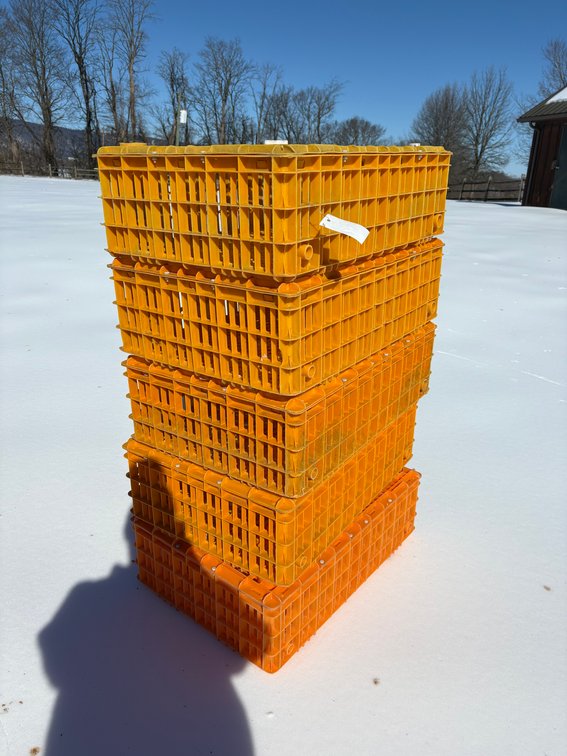 Poultry Transport Crates (Chicken)