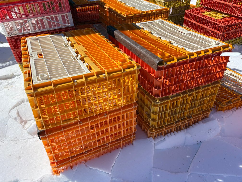 Poultry Transport Crates (Chicken)