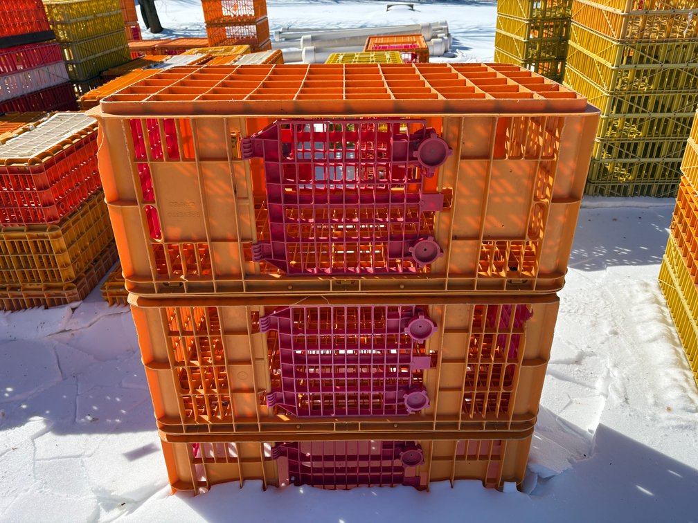 Poultry Transport Crates (Turkey)