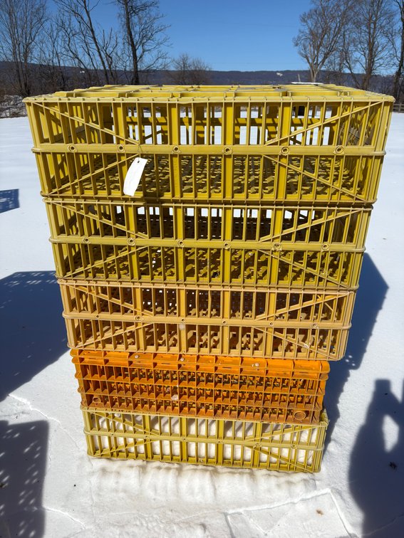 Poultry Transport Crates (Chicken)