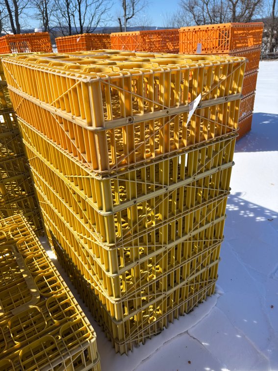 Poultry Transport Crates (Chicken)
