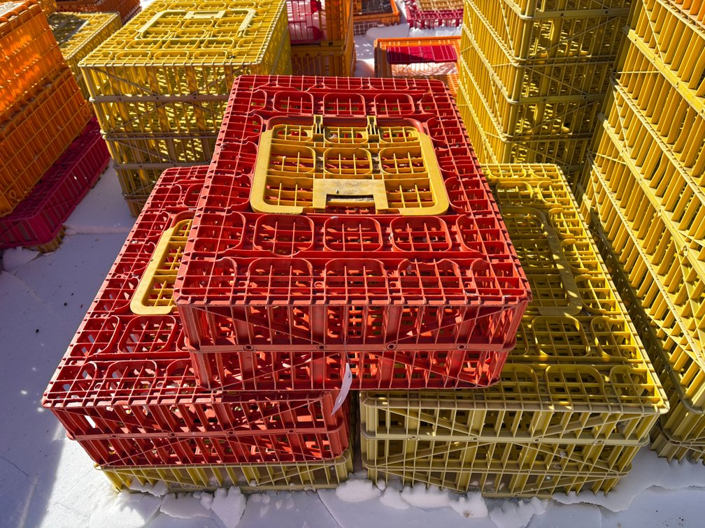 Poultry Transport Crates (Chicken)