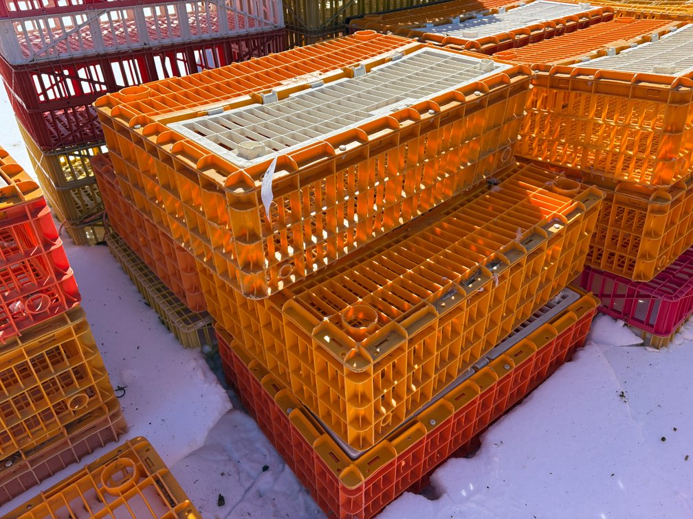 Poultry Transport Crates (Chicken)
