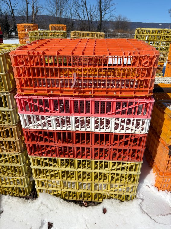 Poultry Transport Crates (Chicken)