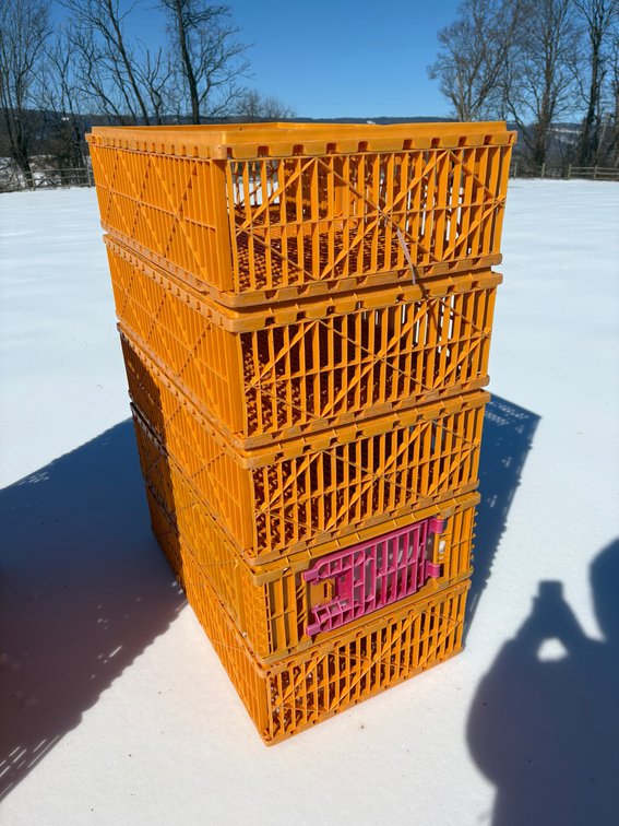 Poultry Transport Crates (Chicken)