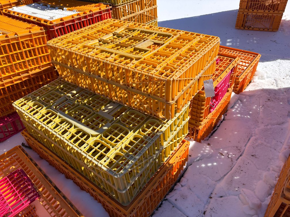 Poultry Transport Crates (Chicken)