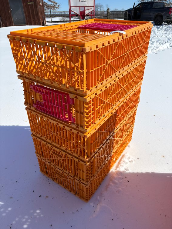 Poultry Transport Crates (Chicken)