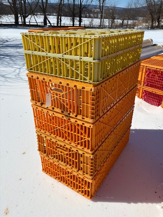 Poultry Transport Crates (Chicken)