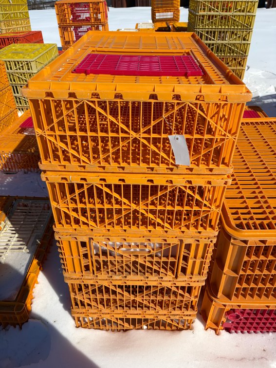Poultry Transport Crates (Chicken)