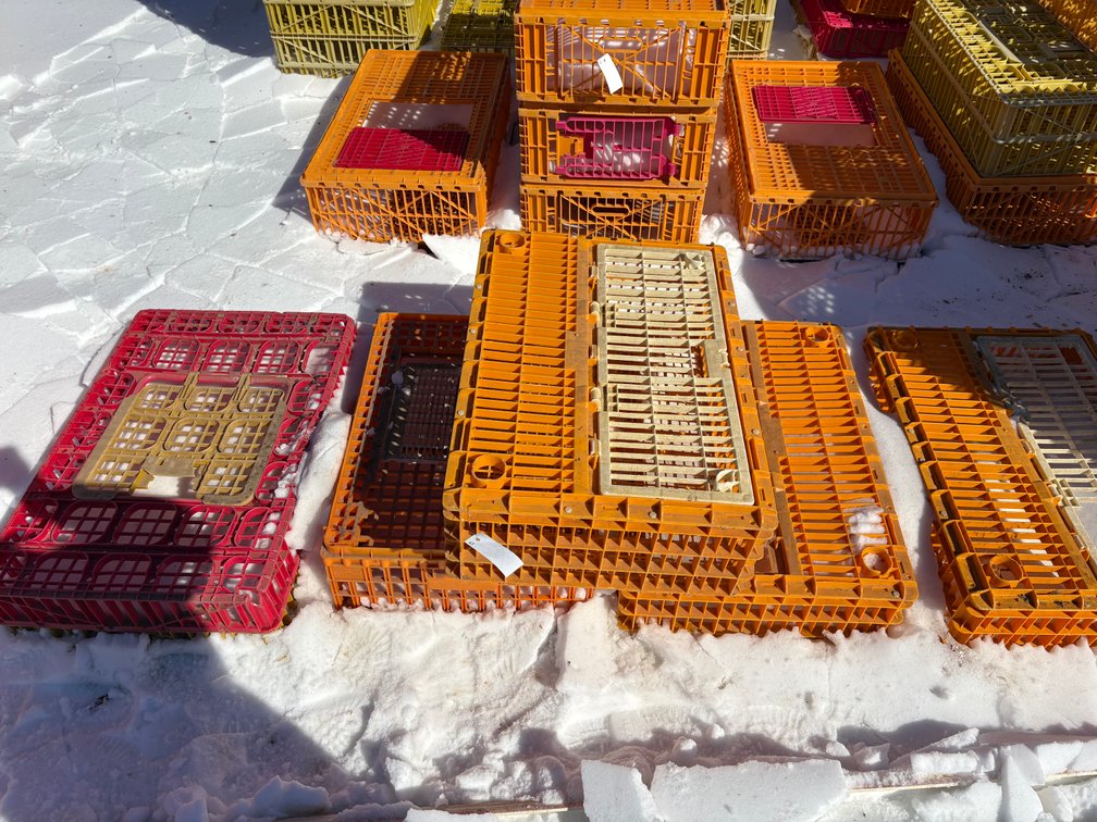 Poultry Transport Crates (Chicken)