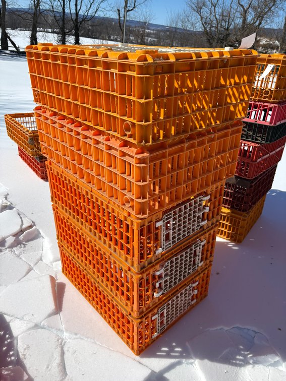 Poultry Transport Crates (Chicken)