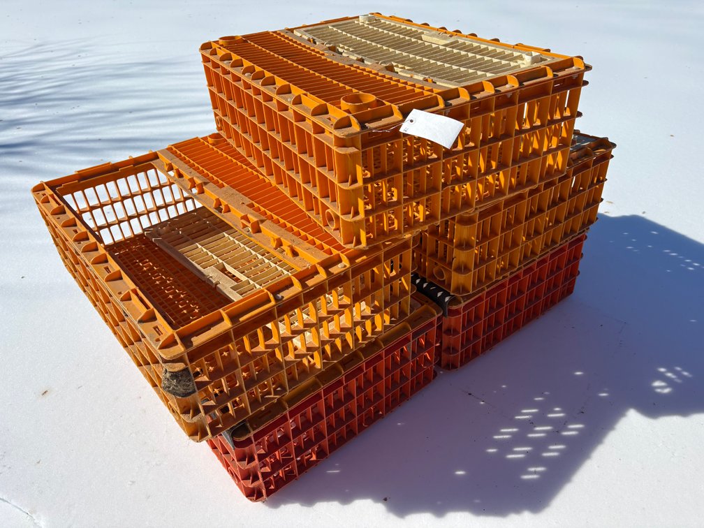 Poultry Transport Crates (Chicken)