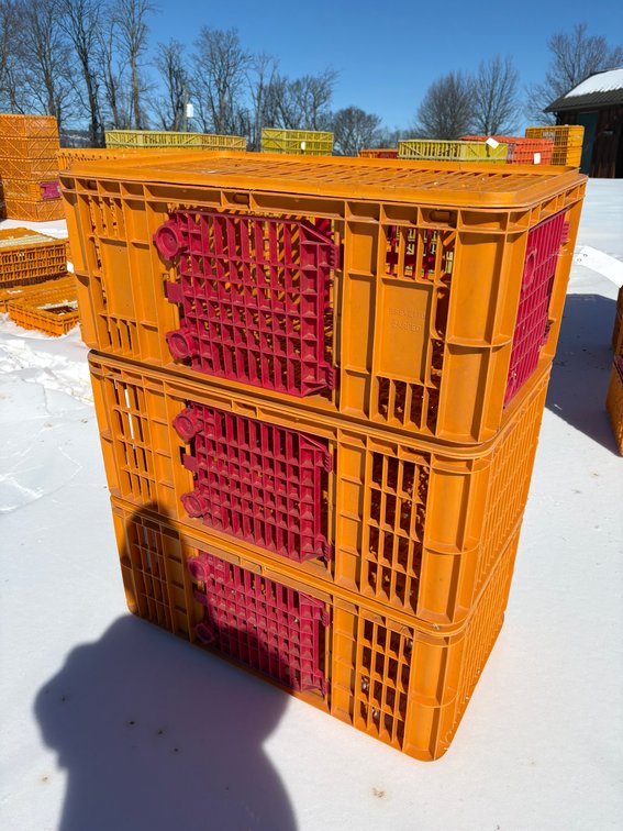 Poultry Transport Crates (Turkey)