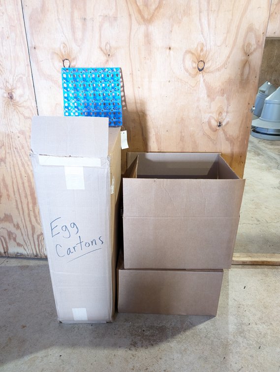 Large Lot of Egg Cartons