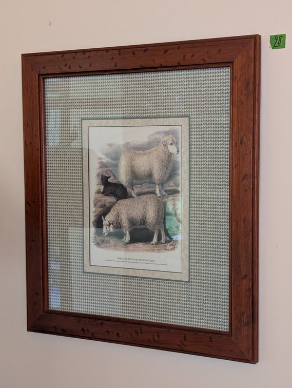 Framed Antique Style Lithograph 'Breed of the Wicklow Mountains' Sheep Art Print