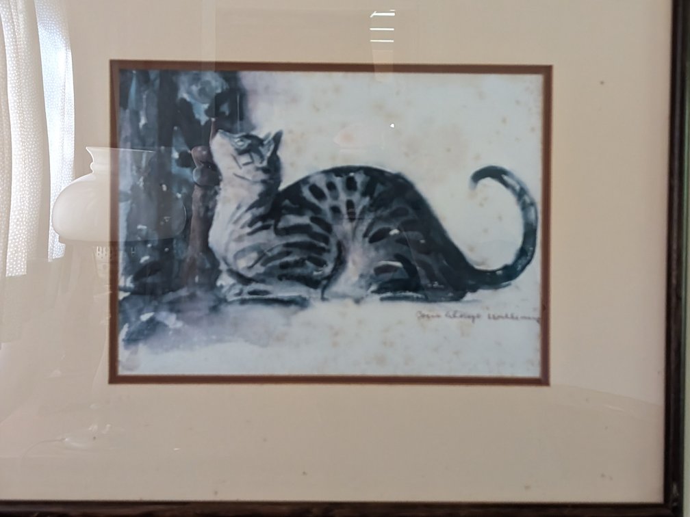 Framed Artwork of a Tabby Cat, Signed