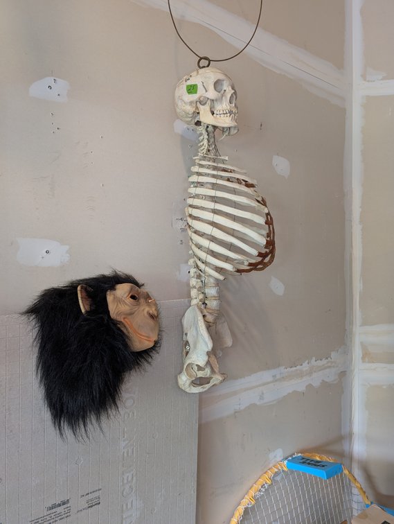 Hanging Skeleton Model & Gorilla Mask Decor / Prop