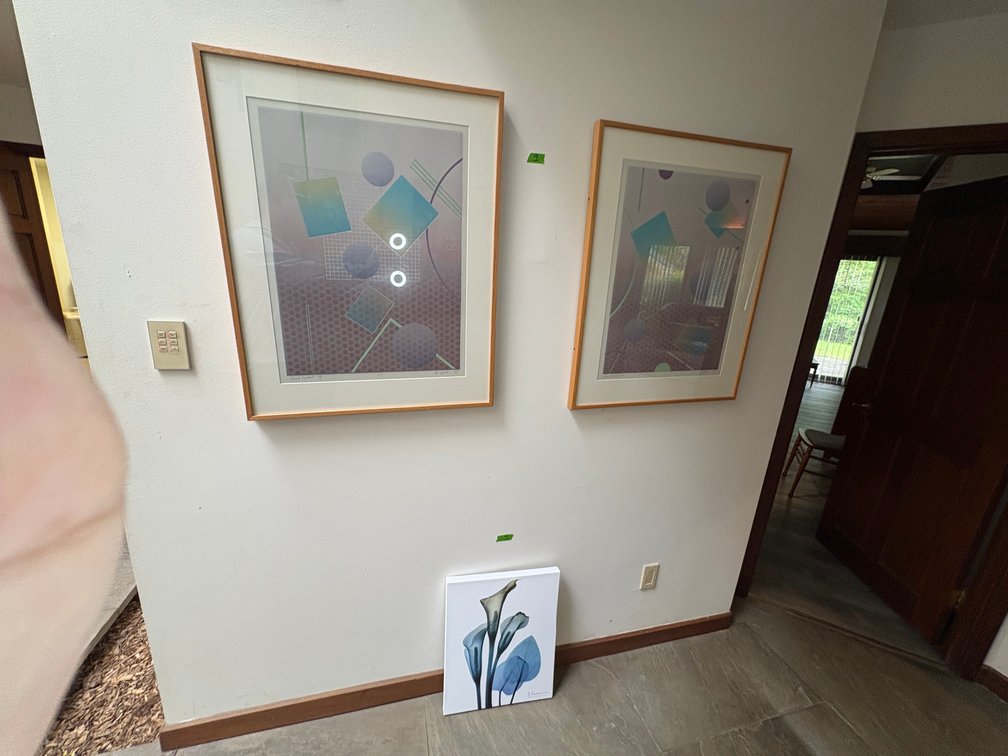 Framed Abstract Geometric Prints and Floral Canvas Art Trio
