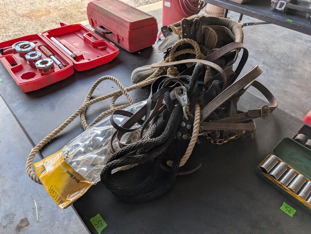 Leather Horse Harness / Tack, Lead Ropes & Leather Work Boots Lot