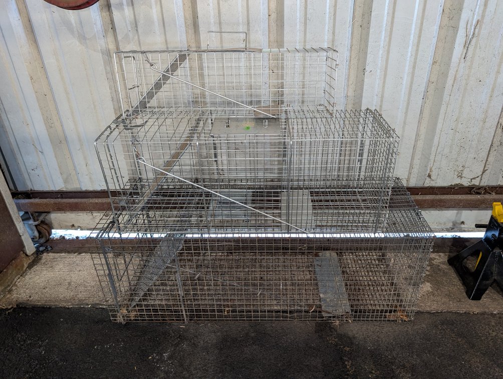 Have a Heart Animal Traps