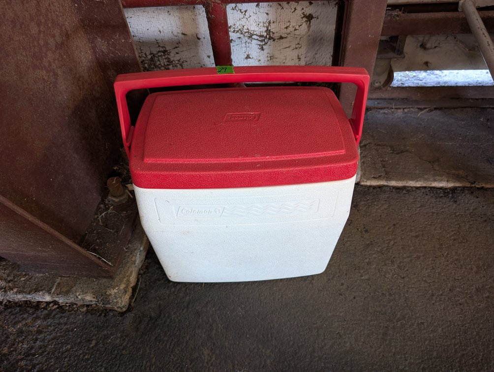 Coleman Personal Cooler