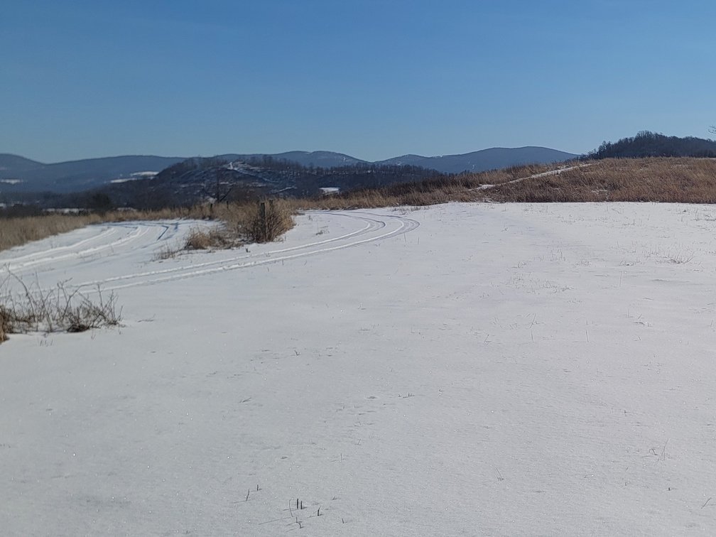 Image for 20.6 Acre Lot! TBD Morgantown Pike Phillipi WV 26416