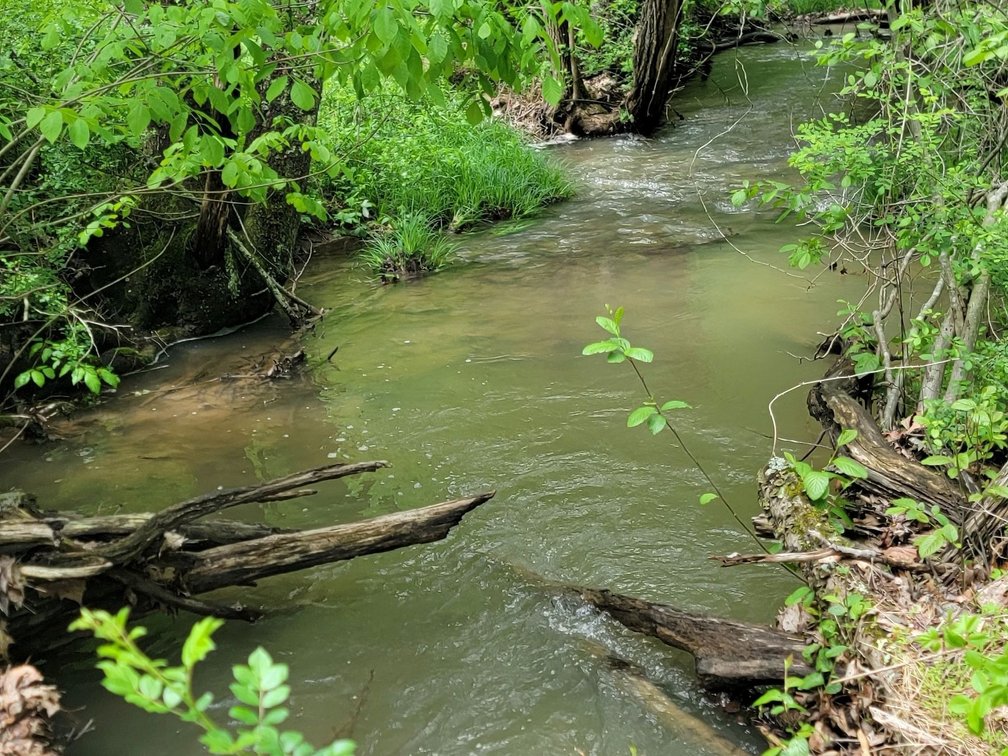 Hunters paradise with 103 Acres!!