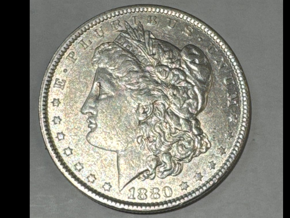 1880-P Morgan Dollar