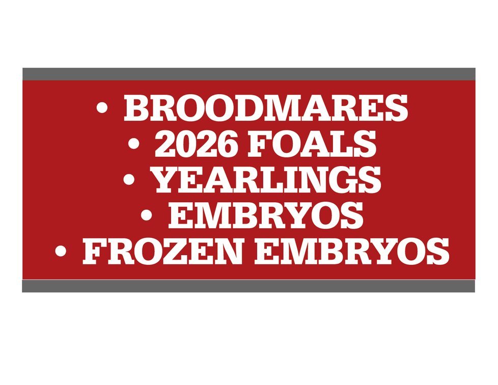 Broodmares - 2026 Foals - Yearlings - Embryos - Frozen Embryos