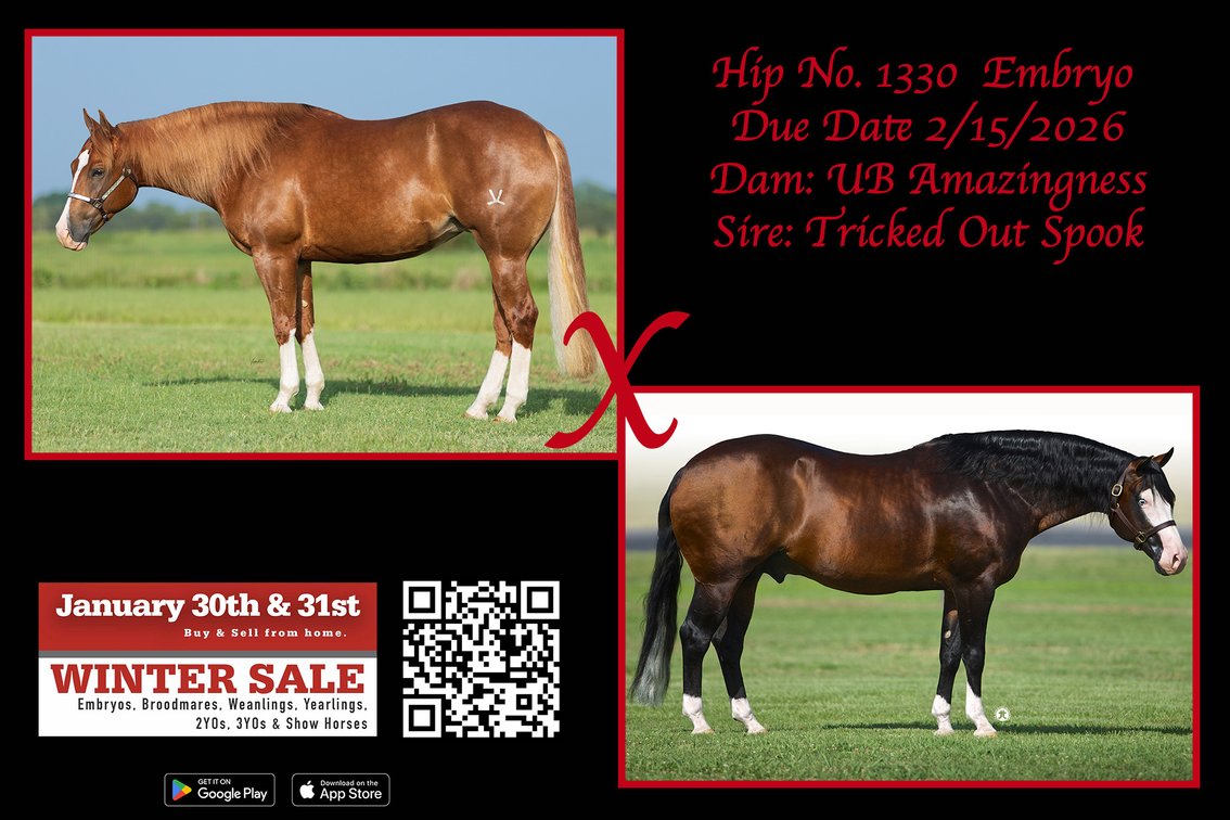 2026 Embryo (Tricked Out Spook x UB Amazingness)