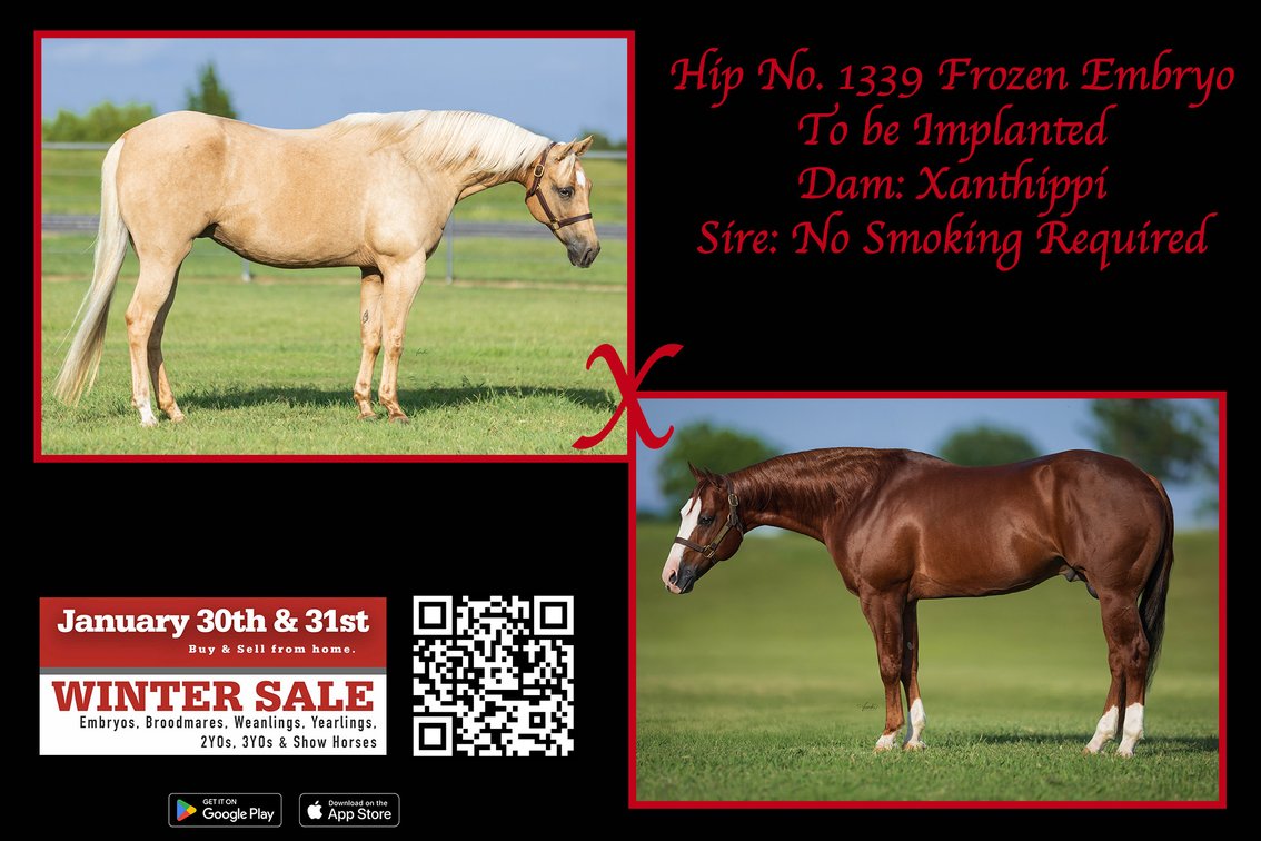 Frozen Embryo (No Smoking Required x Xanthippi)
