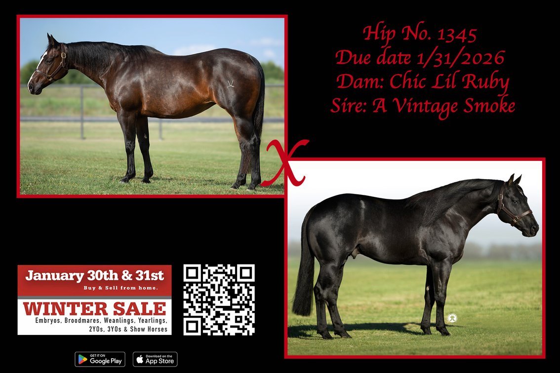 2026 embryo (A Vintage Smoke x Chic Lil Ruby)