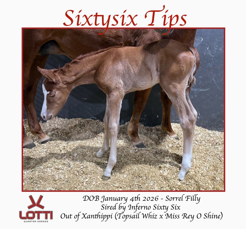 Sixtysix Tips - Pending
