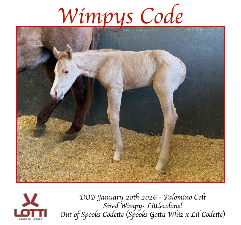 Wimpys Code - Pending