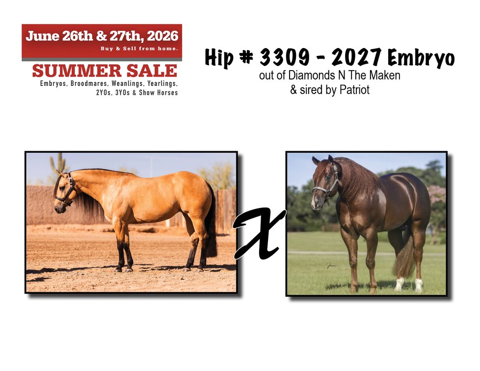 2027 Embryo (Patriot x Diamonds N The Maken)