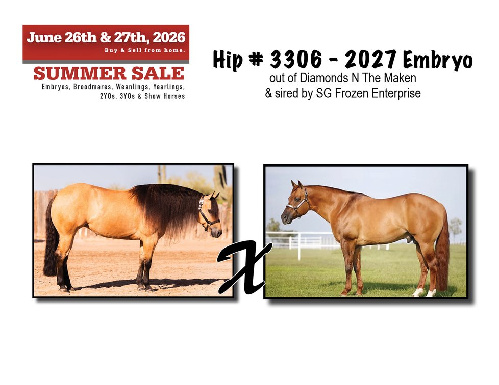 2027 Embryo (SG Frozen Enterprize x Diamonds N The Maken)