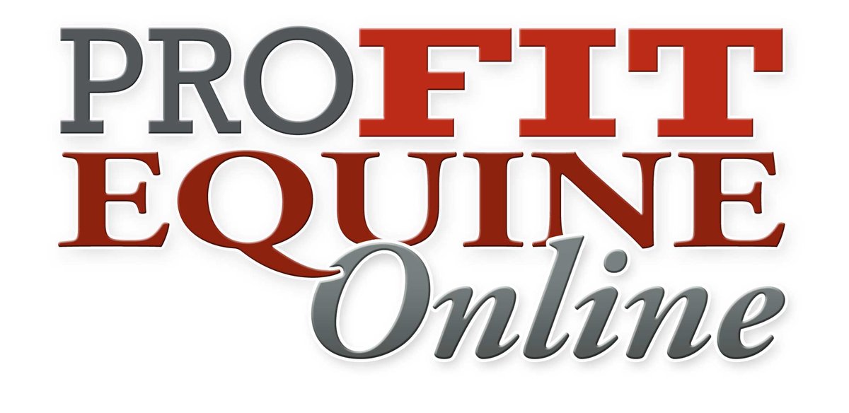 How to Register, Bid AND Buy