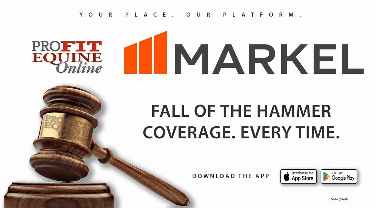 Markel Insurance - Offering "Fall of the Hammer" Coverage