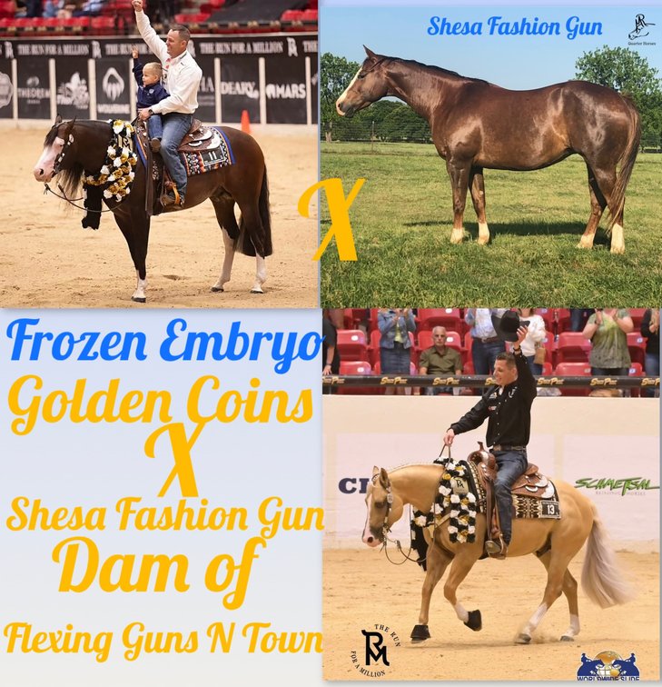 Frozen Embryo (Golden Coins x Shesa Fashion Gun)