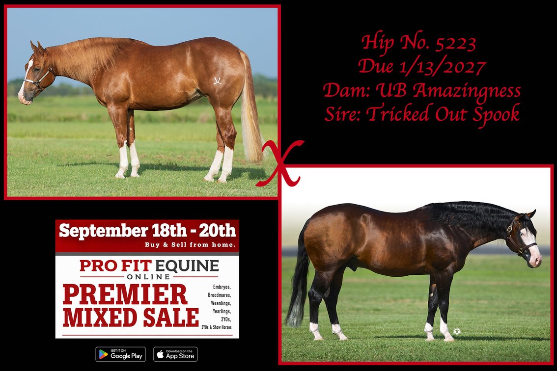 2027 Embryo (Tricked Out Spook x UB Amazingness)