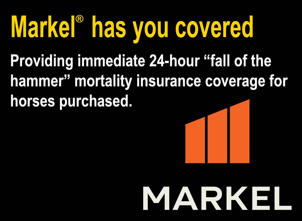 Markel Insurance – Offering “Fall of the Hammer” Coverage