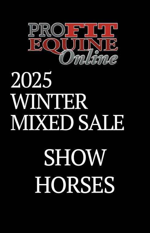 Show Horses